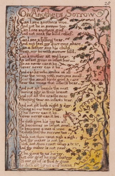 Lieder der Unschuld und der Erfahrung, Platte 28, Über fremdes Leid (Bentley 27) von William Blake